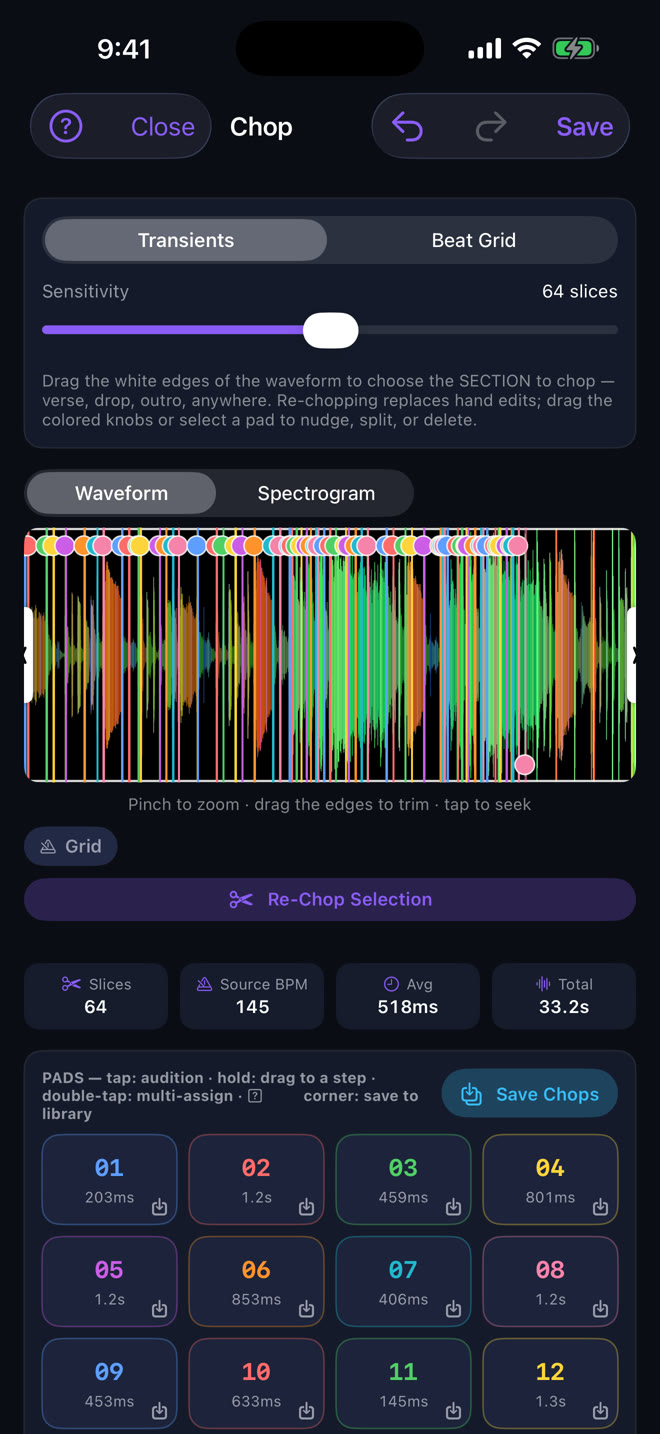 Chopping on iPhone: a capture sliced on the beat grid into sixteen colour-coded pads, with sensitivity, source BPM and slice length